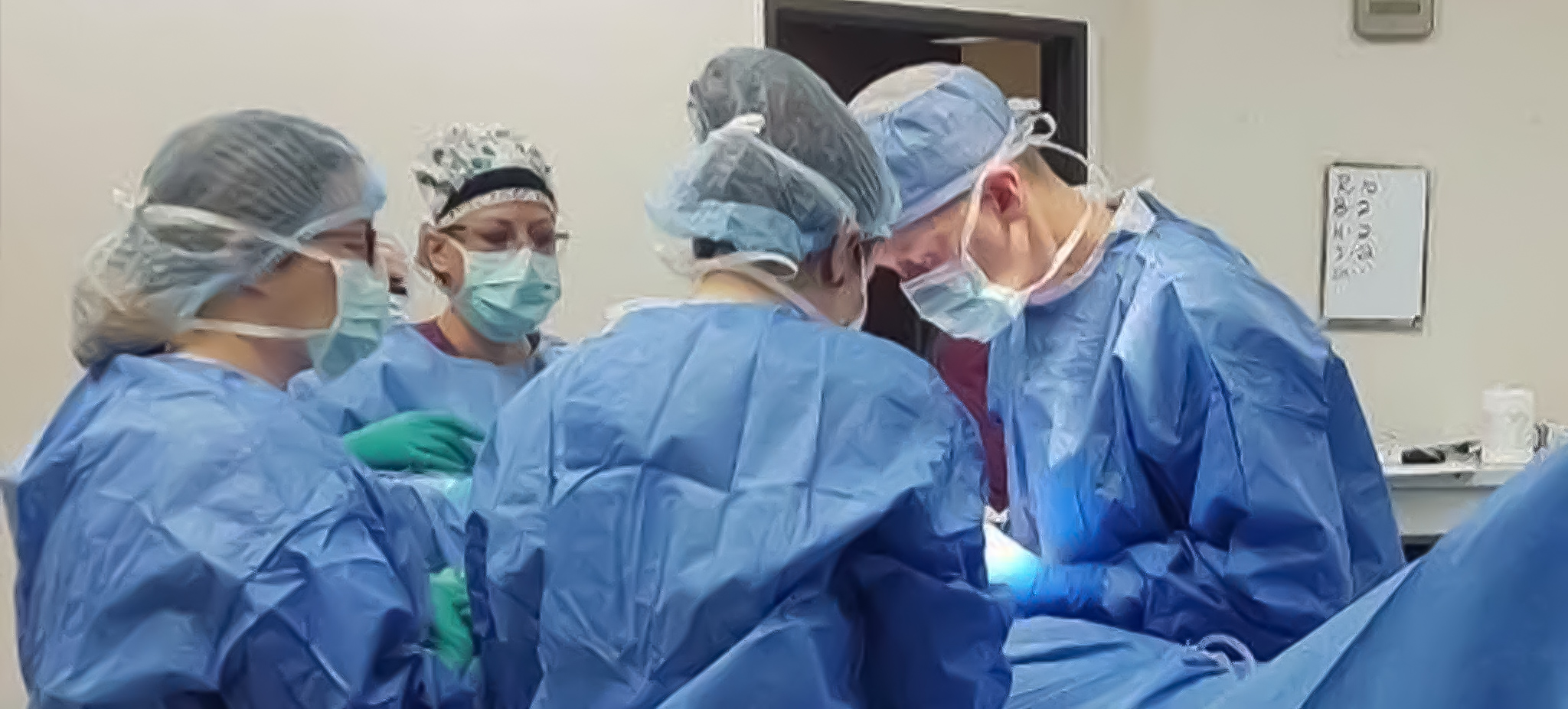 Hernia Repair Surgeons Near County